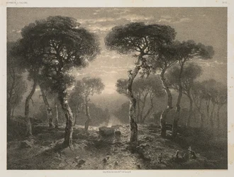 Œuvres de A. Calame, No. 13 : Forêt de Sierre en Valais, 1843 publié 1851
