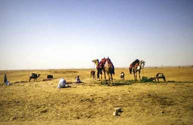 Dans le désert
