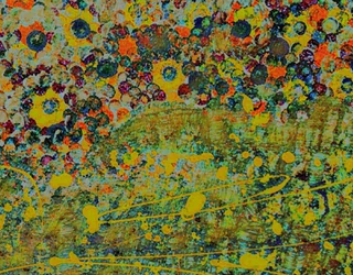 Symphonie de fleurs.