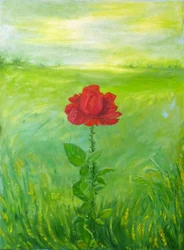 Rose
