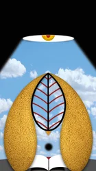 La lumière qui fait réfléchir
