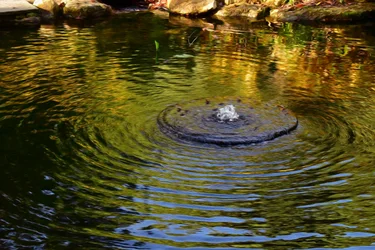 Reflet sur l