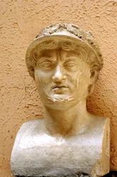 Pyrrhus d