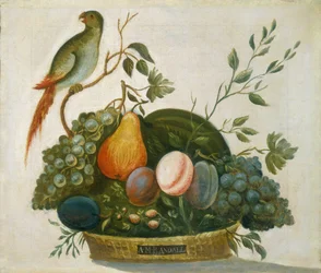 Corbeille de fruits avec perroquet