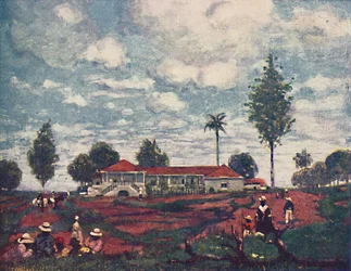 Une Fazenda de Café, 1916