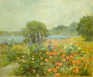 Coquelicots