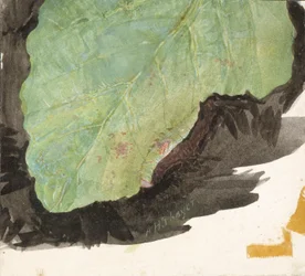 Heterocampa Biundata, Walker, étude pour le livre Concealing Coloration in the Animal Kingdom