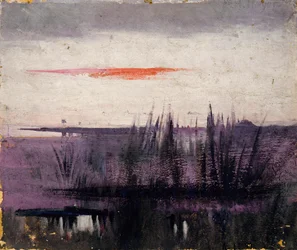 Le ciel simulé par des flamants blancs étude pour livre..., dans le Royaume Animal, vers 1905-1909