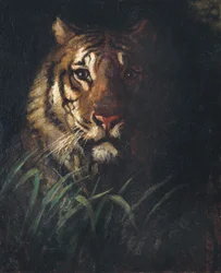 Tête de tigre, ca. 1874