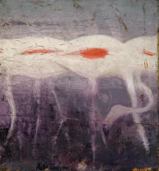 Flamants blancs, étude pour le livre Concealing Coloration in the Animal Kingdom (en anglais)