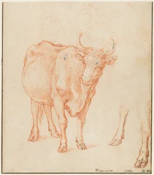 Études d