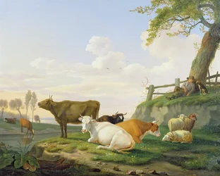 Vaches et berger