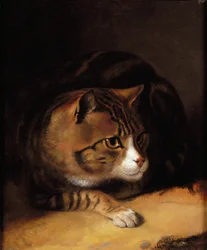Un chat tigré