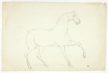 Étalon