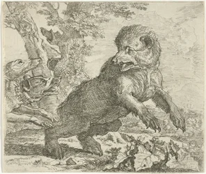 Ours attaqué par des chiens