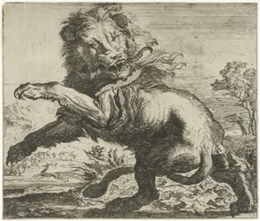 Lion et serpent en combat