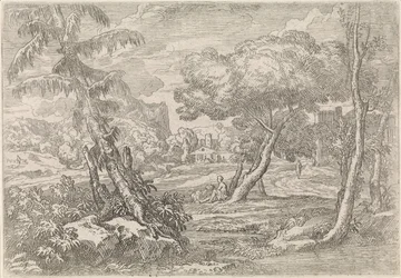 Paysage boisé