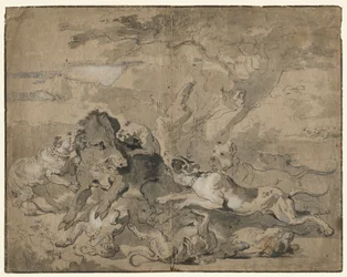 Chasse au Sanglier