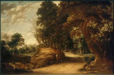 Paysage boisé avec randonneurs au repos