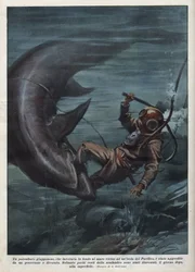 Un plongeur japonais avec un scaphandrier dévoré par un requin dans l