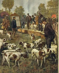 Exposition canine et épreuves de chiens de chasse à San Siro (Milan)