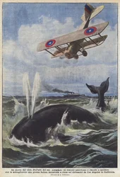 La chasse depuis le ciel