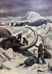 Mammouths au pôle Nord