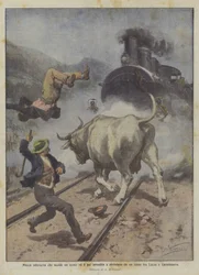 Vache enragée tuant un homme et ensuite percutée et écrasée par un train entre Lucques et Castelnuovo
