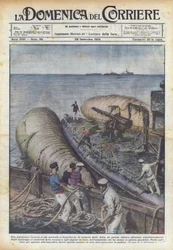 Une entreprise gigantesque est tentée en Angleterre, la récupération de la flotte de guerre allemande