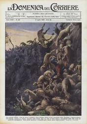Une avalanche vivante