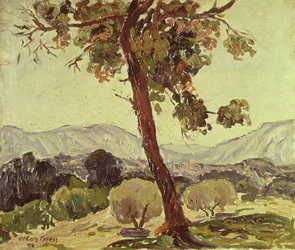 Paysage boisé