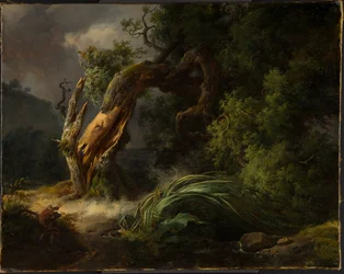 Le chene et le roseau