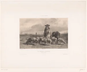Fermier auvergnat avec bœuf et moutons