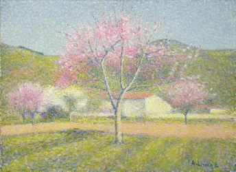 Un Verger au Printemps, Pommiers en Fleurs, c.1920-29