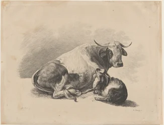 Vache et chèvre couchées
