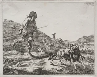 Berger chassant un loup