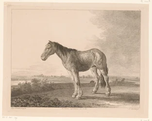 Cheval debout dans un paysage fluvial