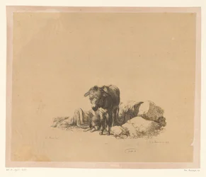 Âne debout devant un chien couché et un homme endormi (Zes prenten naar tekeningen van Adam von Bartsch in de verzameling van Heinrich Xaver Ritter von Hauer, Six estampes gravées par Adam de Bartsch d