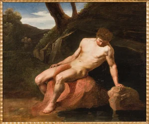 Narcisse