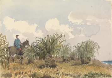 Herbe de Tussac, Îles Falkland