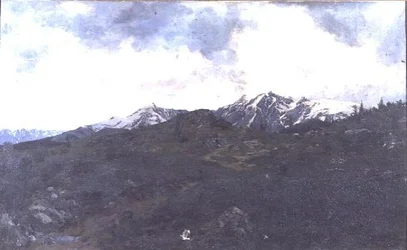 Dans les pâturages alpins
