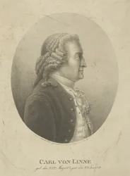 Portrait de Carl Linnaeus