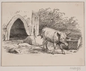 Le Cochon enchaîné