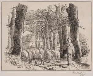 Le garçon berger