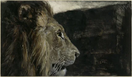 La tête de lion. Extrait de « L