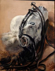 Étude de cheval. Tête couchée, harnaché