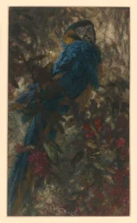 Douce liberté. Extrait de « L