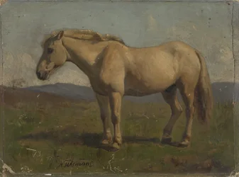 Un cheval isabelle
