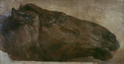 Étude de cheval. Tête de profil à droite