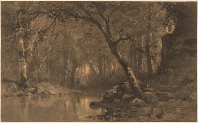 Une rivière boisée avec un pêcheur